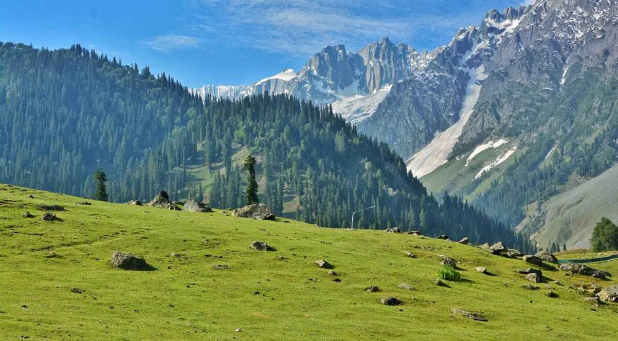 Mystic Meadows: Explore Kashmir
